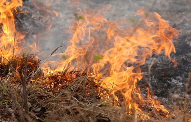 How Grass Fires Cause Massive Destruction