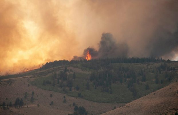 Modular Build Fire Watch Rules You Haven’t Heard
