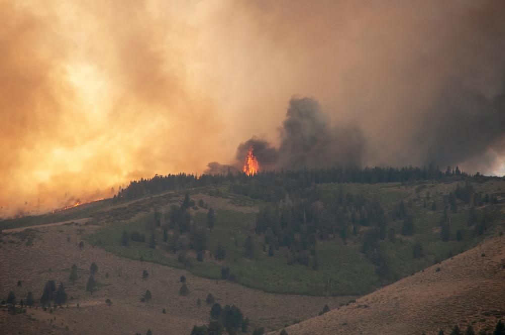 Modular Build Fire Watch Rules You Haven’t Heard